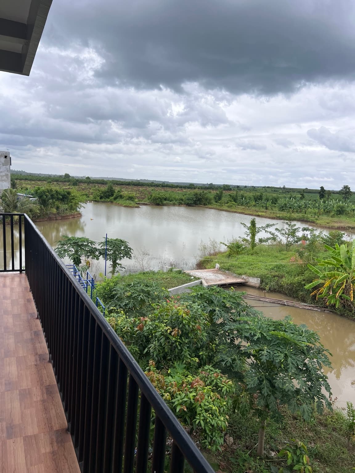 View from the Eden Farm house balcony over the pond and fields