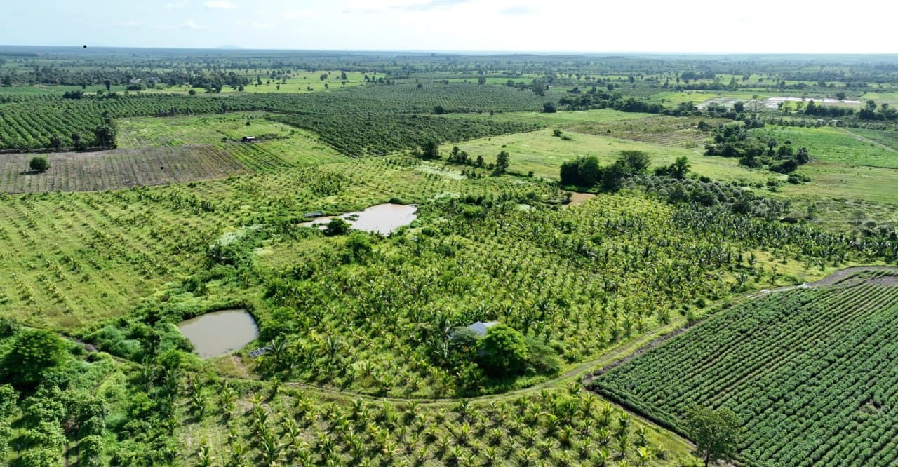 Panoramic view of Eden Farm's agricultural landscape
